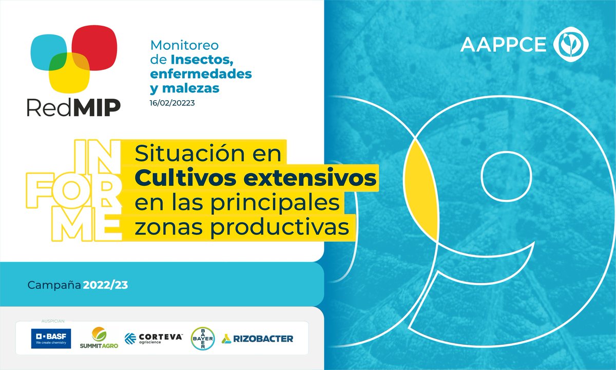 Ya podés consultar un nuevo #InformeRedMIP 🪲🌱🐛🌽

Zona a zona, vas a encontrar la situación actual de insectos, malezas y enfermedades en los cultivos de verano y mucho +.

ACCESO 👉 bit.ly/3IvTGwH 

#ElMonitoreoEnTodosLados #NodosAAPPCE
