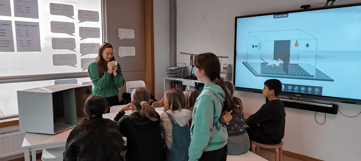LabBram's tweet photo. This week, BRAMLab visited a primary school in Antwerp to teach kids about anxiety research. @LauraMVercammen talked about animal research and how we can investigate fear and safety learning in rats using Remy (the stuffed animal rat)

@KU_Leuven @PPW_KULeuven @BiolPsychol https://t.co/Z5ircwevz0