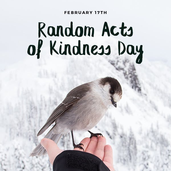 theFRESHexpert's tweet photo. Did you know Today, February 17th is  Random Acts of Kindness Day?

Do something today to light up another.  Catch a smile and share it on!

#kindness #randomacts #smile https://t.co/JmqSpWi9Vo