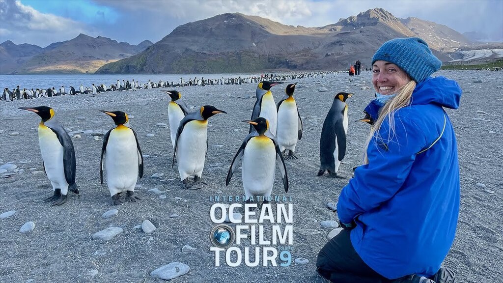 youtu.be/D9-9WIJqEjg In THE POWER OF ACTIVISM, the value of environmental activism is examined from an economic perspective. Three Australian women—Madison Stewart, Alice Forrest, and Jordyn de Boer—aim to promote marine and environmental conservation through a wide variety …