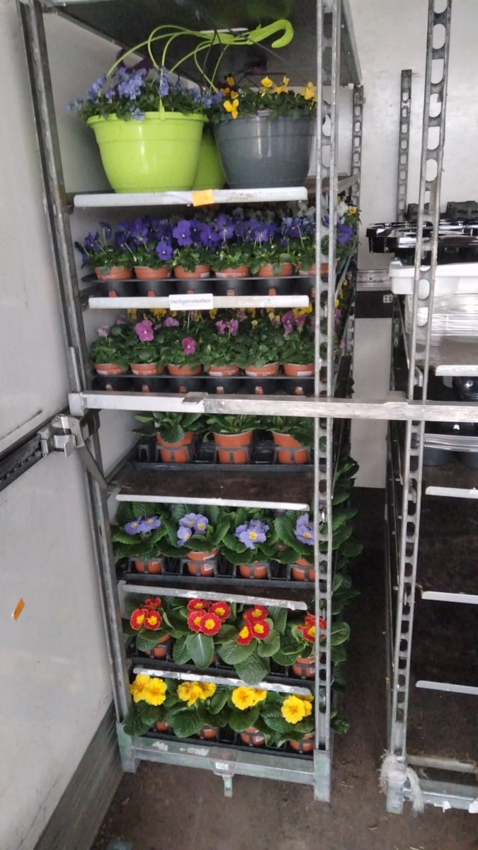 My little garden is  finally giving  me reason to invest in Farm production...