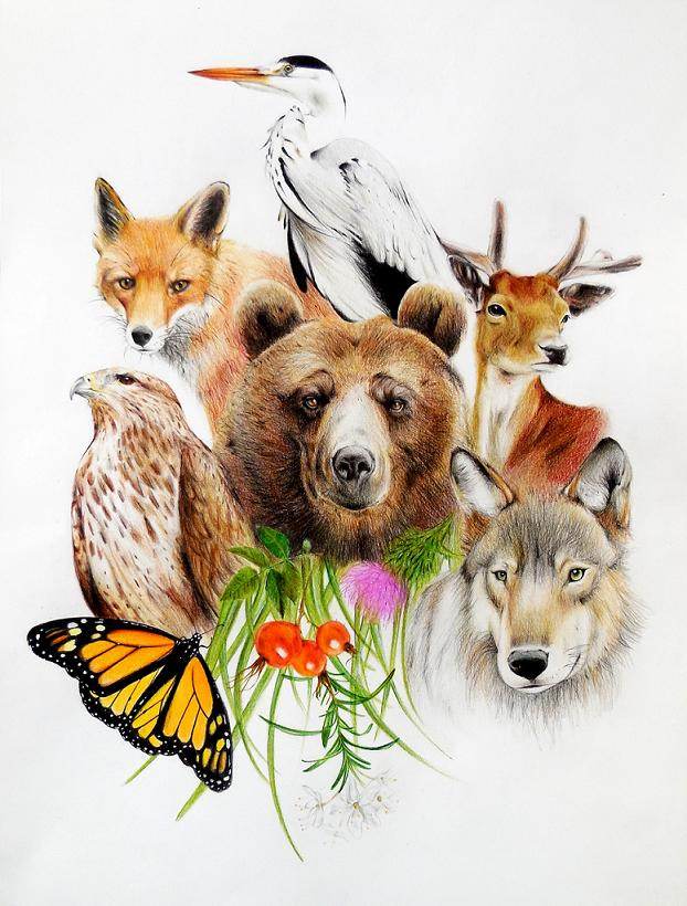 ParcoCastelli's tweet photo. Acquisire consapevolezza sull’etologia degli animali, per comprenderli e mettere in pratica quegli atteggiamenti necessari a non creare situazioni di rischio per loro e per noi, è una scelta consapevole e alla portata di tutti, concreta e possibile. 👉https://t.co/TVBt4kT8Gc https://t.co/kuT7lJ4Cst
