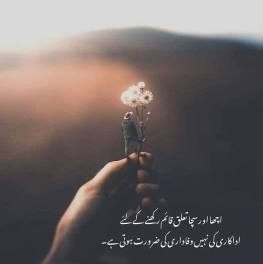 umeraslam56's tweet photo. https://t.co/5K8FP2U6Yz