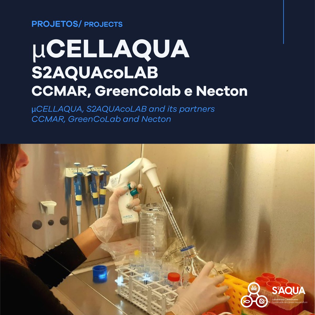 S2AQUAcoLAB's tweet photo. S2AQUAcoLAB and its partners @CienciasDoMar , #greencolab and @Phytobloom (Necton) are advancing fast on the development of a #microlagae-based serum for #sustainable cellular #aquaculture.
First results of #μCELLAQUA project, are quite promising! Fin.:@GoodFoodEurope @EITFood https://t.co/ZRTO6veW0R