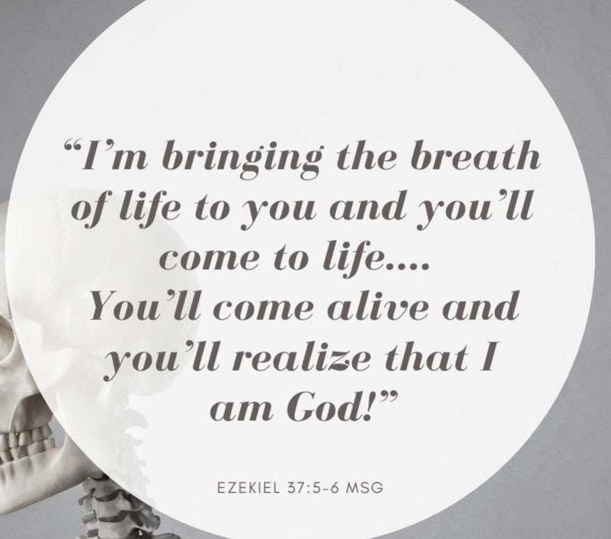 oba_forex's tweet photo. Trust in God Almighty.
#God #breadoflife #Provison #life #love #live https://t.co/tZzlXBn3pT