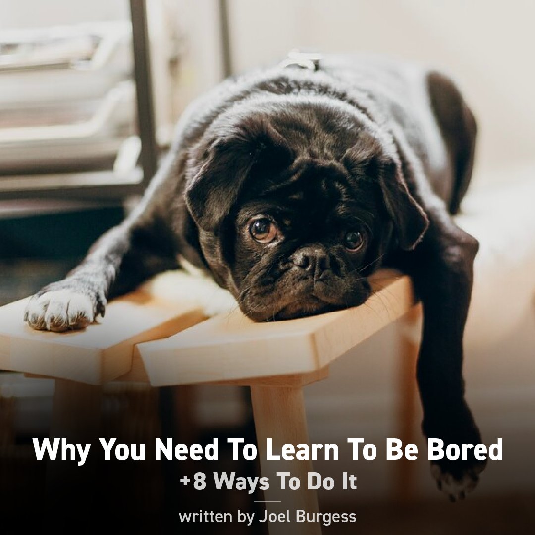 LRMGPerformance's tweet photo. Blaise Pascal said, “All humanity’s problems stem from man’s inability to sit quietly in a room alone.” Blaise Pascal

Read Joel Burgess' article to find out why you need to learn to be bored and how to embrace boredom 👉 https://t.co/UtwTDX937D

#embraceboredom #mindfulness https://t.co/sgEg3cDOA2