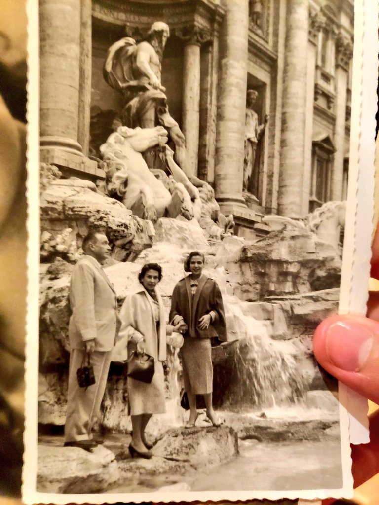 Borjabor Matandrinense🌲 tweet media