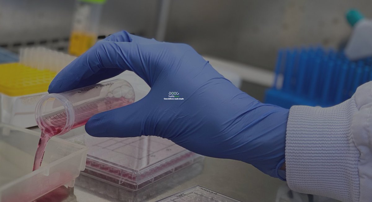 axenciaGAIN's tweet image. 👨‍🔬 O proxecto @TraffikGene, liderado por @MontenegroLabo do @ciqususc0 e apoiado polo Programa #Ignicia, recibiu 2,5M € do @EUeic para desenvolver terapias de ARN mensaxeiro en inmunoterapia contra o cancro #eicTransition