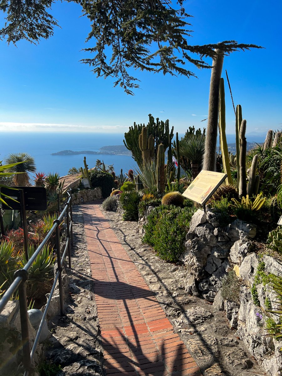 explorenca's tweet photo. Paysages paradisiaques à perte de vue 🌊🌵depuis le jardin exotique d’Eze ! Tout simplement Wahouuuuu 🤩
📷 @explorenicecotedazur 

#ExploreNiceCotedAzur #Eze #OnATousBesoinDuSud #CotedAzurFrance https://t.co/W4fXvfoZ7B