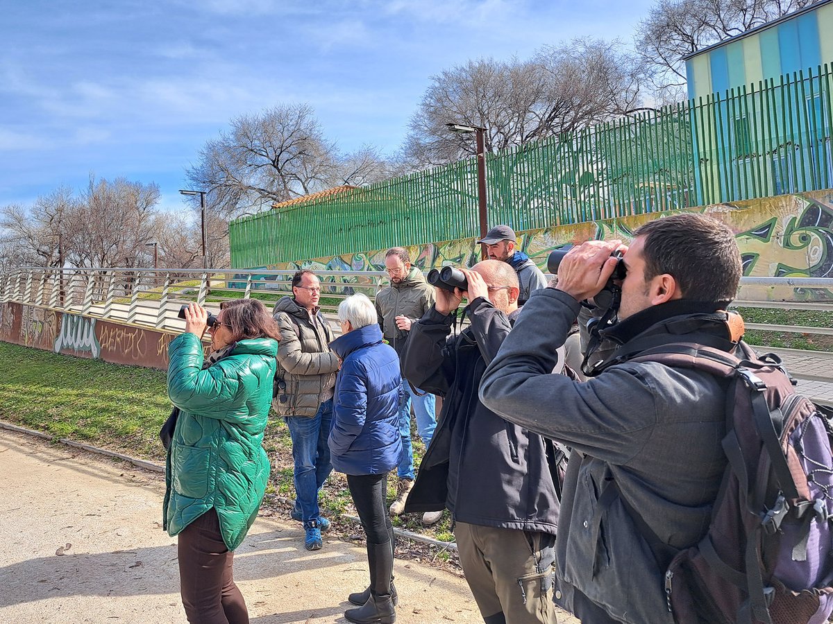 ⭐️Presente y futuro del Turismo Ornitológico de Aragón, protagonistas del foro #BirdingAragón  
Con participantes de todos los sectores implicados, en una intensa jornada en que instituciones, empresas, aficionados y asociaciones...
birdingaragon.com/presente-futur…
#Aragón #Birding