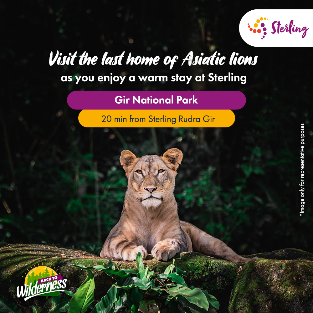WorldOfSterling's tweet photo. Experience the best hospitality at Sterling Rudra Gir and bond with the wilderness.
Book now: https://t.co/Dp1fllCy1z

#SterlingHolidays #SterlingResorts #BackToWilderness #Gir #Gujarat https://t.co/WuqgRBjOCQ