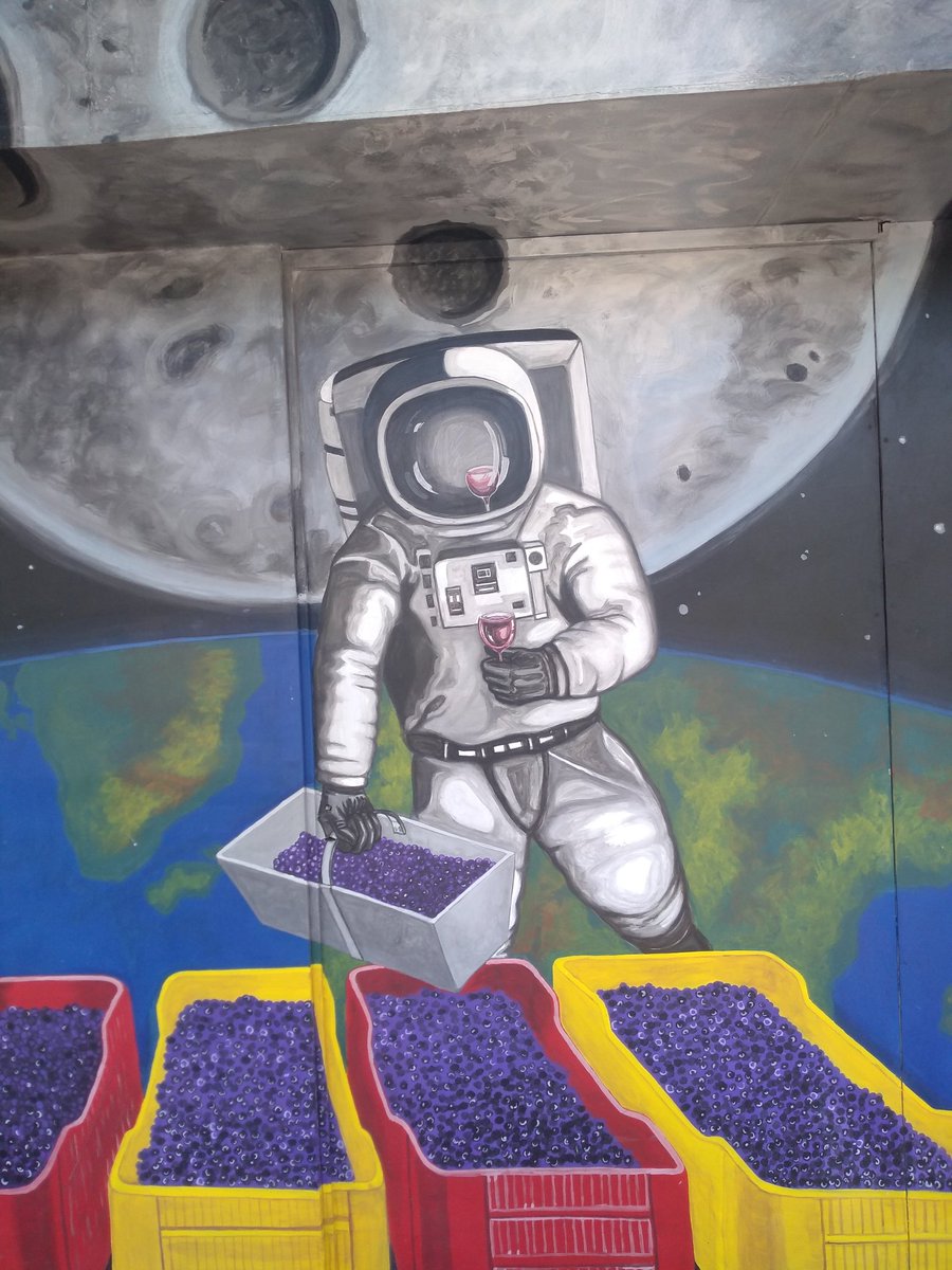 Caminaba x una vereda de #SanJuan y me tope con este mural..., cuando los sanjuaninos conquistemos el espacio 🤔?????