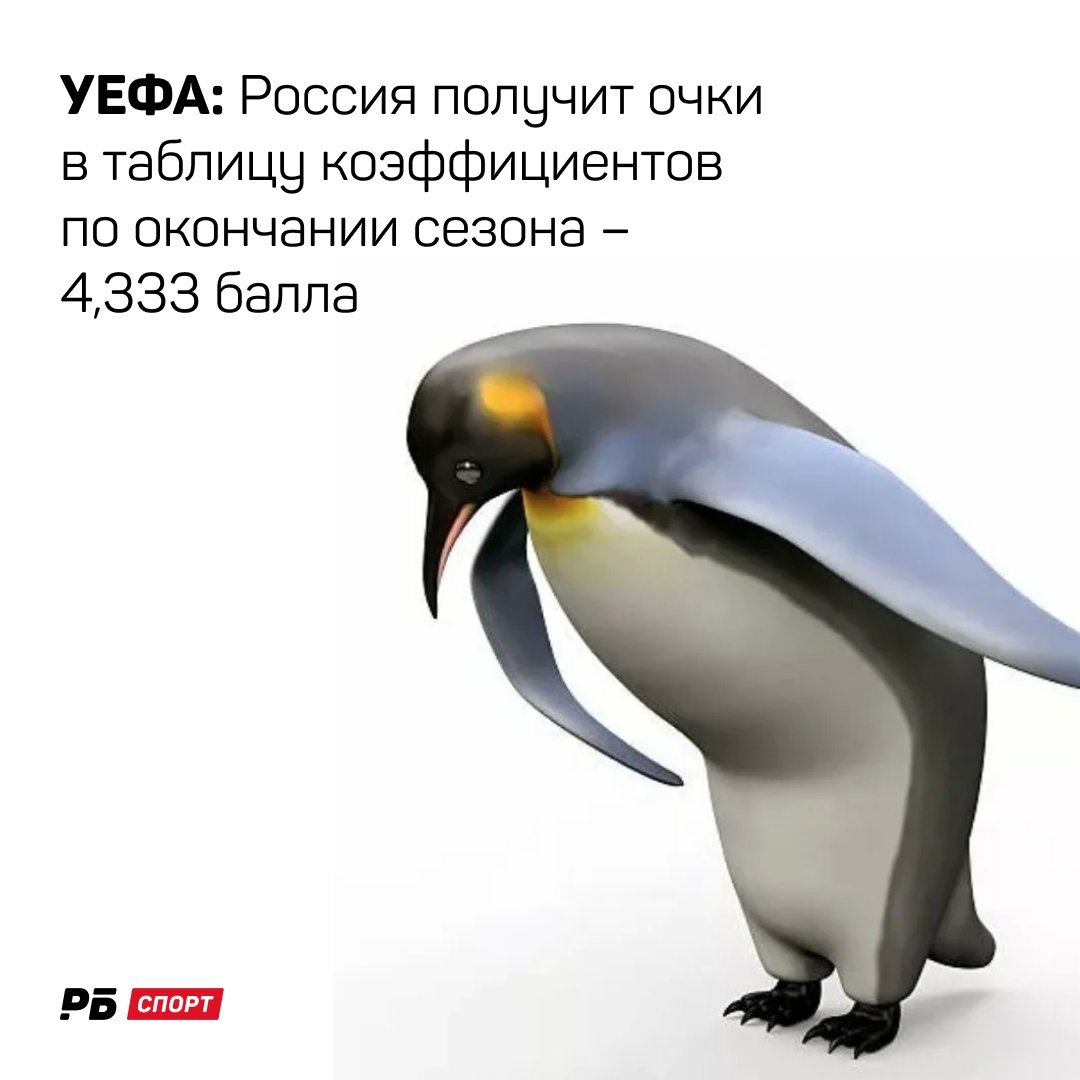 Низкий поклон прикол