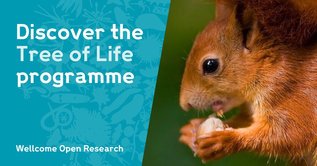 WellcomeOpenRes's tweet photo. ๐ขNew on Wellcome Open Research๐ข
#GenomeNotes for a number of genome sequences have recentlyย been published as part of the @SangerToL @darwintreelife programme:
โก https://t.co/q5P55Goehw
โก https://t.co/inDalizrLA
โก https://t.co/U6qs9xNg1O https://t.co/7yNzqZPuTs