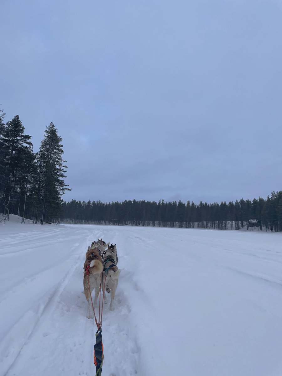 Matkustaminen lapsen ja kahdeksan koiran kanssa tuntuu välillä enemmän työltä kun lomalta, mutta kyllä se kaikki on sen arvoista kun saa nauttia tällaisista hetkistä 😍 #huskyjutut #talviloma #perheloma