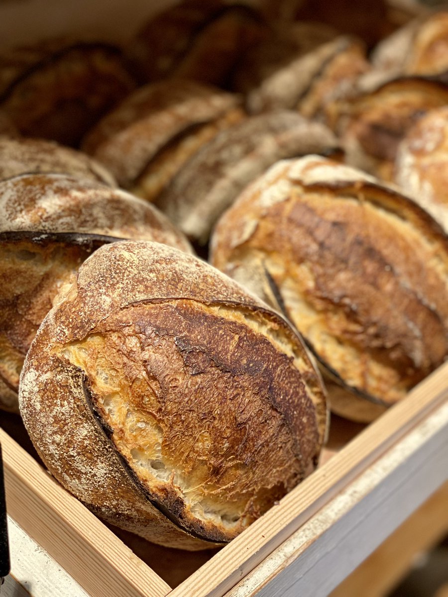 CheshireSmoke's tweet photo. Sourdough, made using Cheshire grown wheat, milled Nelstrops in Stockport and produced, from scratch, in our onsite bakery, here in Wilmslow
#realbread #realbakery #wilmslow #sourdough #breakfast #Independent https://t.co/RKu41SiOK3