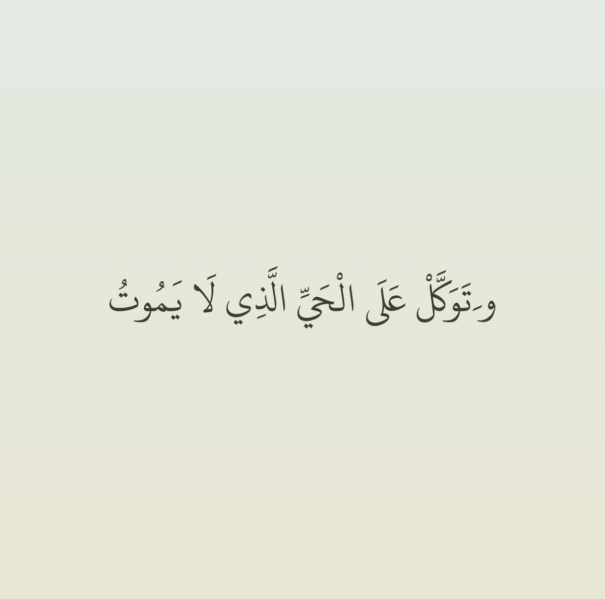 Shahad tweet media