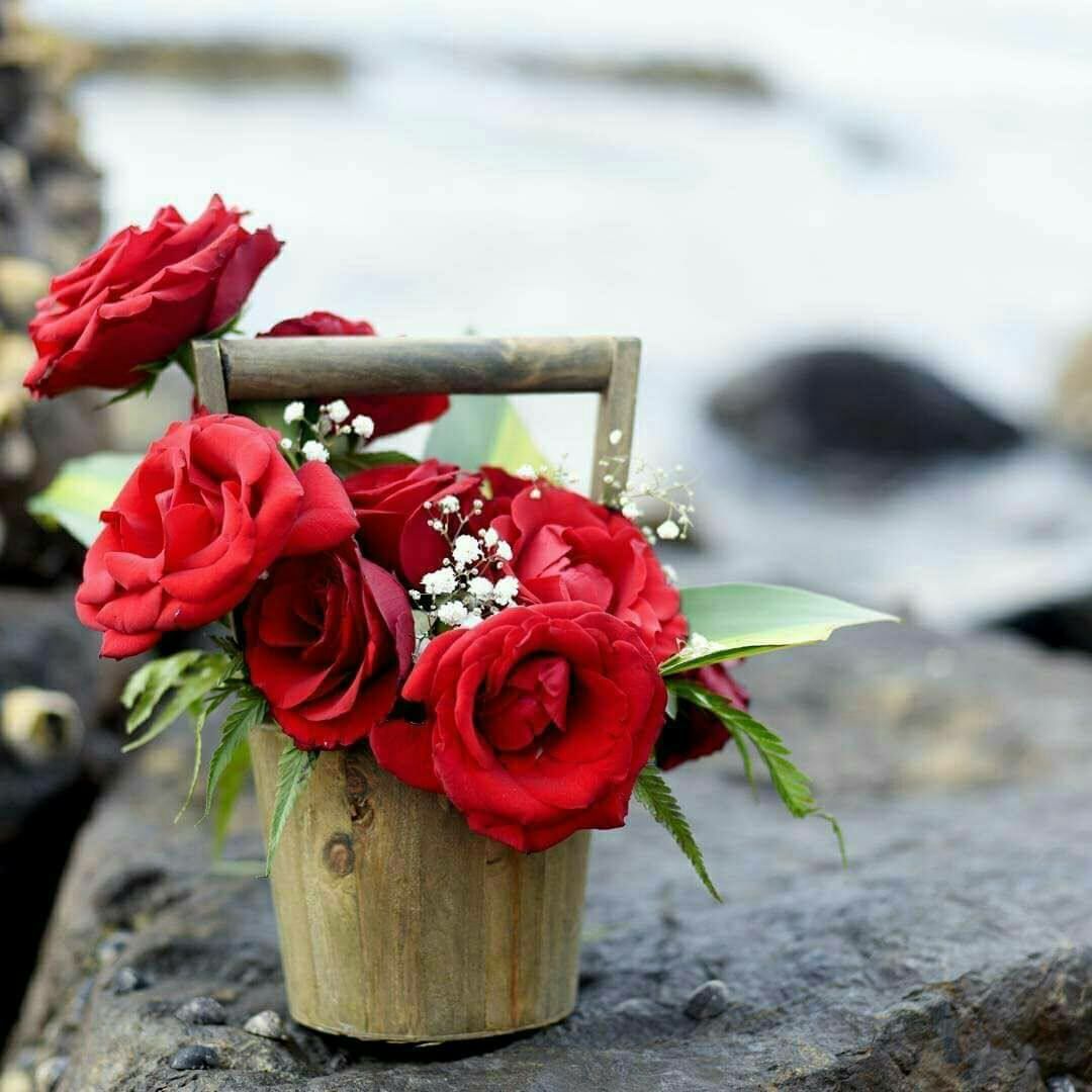 عن أنس بن مالك رضي الله عنه قال: قال رسول الله -صلّى الله عليه وسلّم:

 (لا يَتَمَنَّيَنَّ أحَدُكُمُ المَوْتَ مِن ضُرٍّ أصابَهُ، فإنْ كان لا بُدَّ فاعِلًا، فليَقُل: اللَّهُمَّ أحْيِنِي ما كانَتِ الحَياةُ خَيْرًا لِي، وتَوَفَّنِي إذا كانَتِ الوَفاةُ خَيْرًا لِي).

رواه البخاري