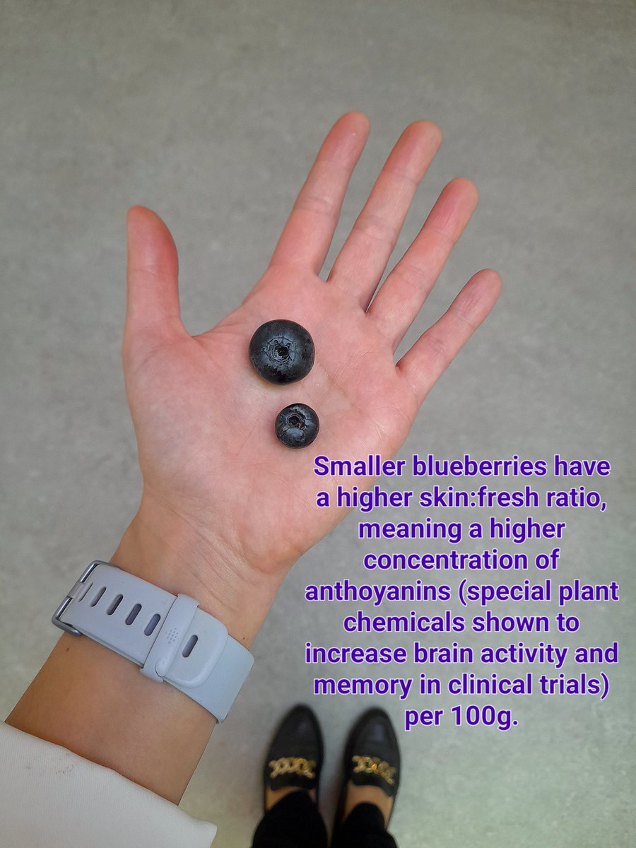 Fruity Friday Fact!
Blueberries 🫐
If you were to choose between big &amp; juicy or small &amp; cute blueberries, what would you pick? Check out the 2nd photo to see my choice!

#accentcateringnutrition #accentcatering #blueberries #fruityfact #nutritioneducation