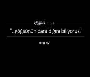 Celalgins Baggal (@celalginsbaggal) on Twitter photo 