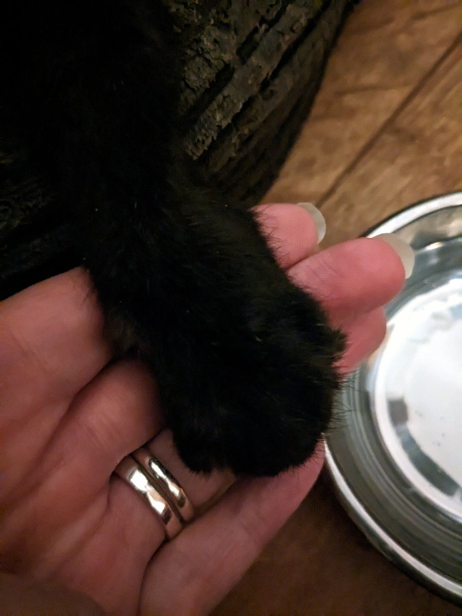 Just a care home girl tweet media