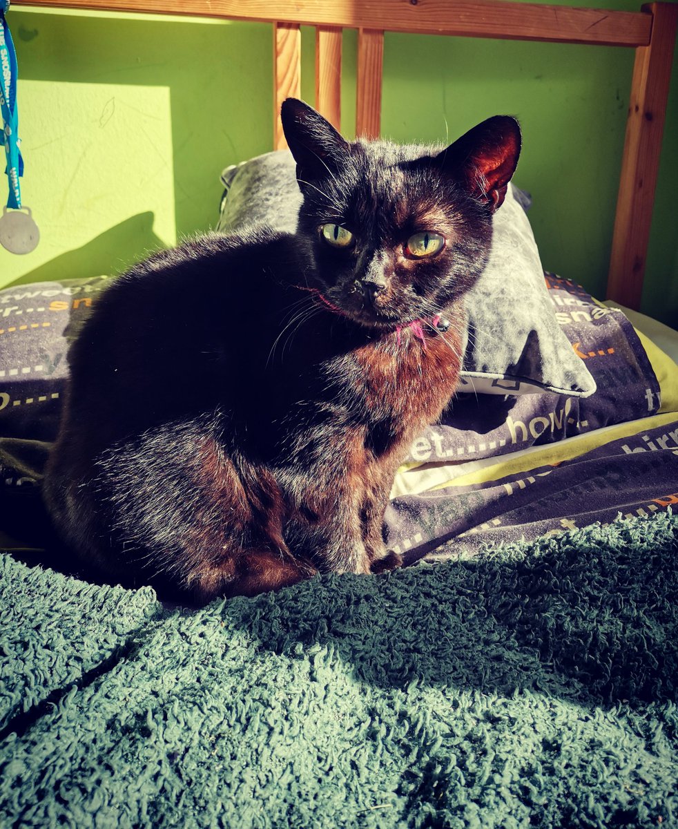 Just a care home girl tweet media