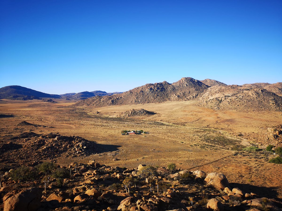 LeoPerrier_'s tweet photo. Next week, I will be on my way to the Goegap nature reserve in South Africa 🇿🇦 to finally study striped mice in their natural habitat! I will try to post updates soon, with photos of the field work! Here are some taken by Lény who is already preparing the field, seems amazing! 🐭 https://t.co/rtgOYPj7RG