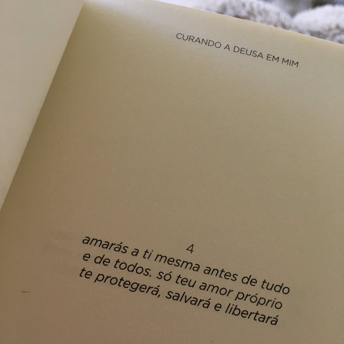 sagradalivre's tweet photo. ❤️ https://t.co/V1QDnnZIPT