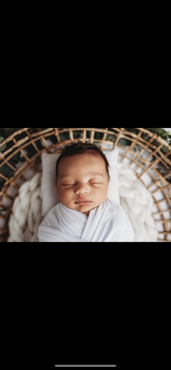 omgitischrissy's tweet photo. This angel will be one next week 😭

@_screamcasey I’m ready for at least 3 more https://t.co/zQWZ0XFrk9