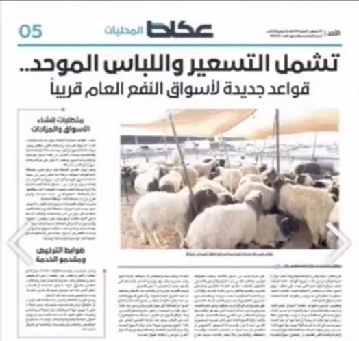 ضوابط جديدة لتحديد #أسعار_المواشي :

1. الخروف الكبير من سن ٦ شهور إلى ١١ شهر لا يتعدى سعره ١٠٠٠ ريال.

2. الوسط من سن ٥ إلى ٧ شهور  لا يتعدى سعره ٧٠٠ ريال.

3. الصغير من سن ٣ إلى ٥ شهور لا يتعدى سعره ٥٠٠ ريال.
#جازان_الان