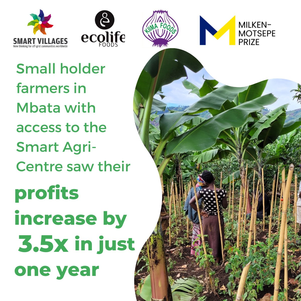 Impact data just out on our Smart Agri-Centres which are up for the Milken Motsepe’s Agri-tech prize!

We are so happy to see there has been a huge benefit to farmers just in one year!

Please vote for us, we can scale this! ow.ly/Nf8T50MFQVc