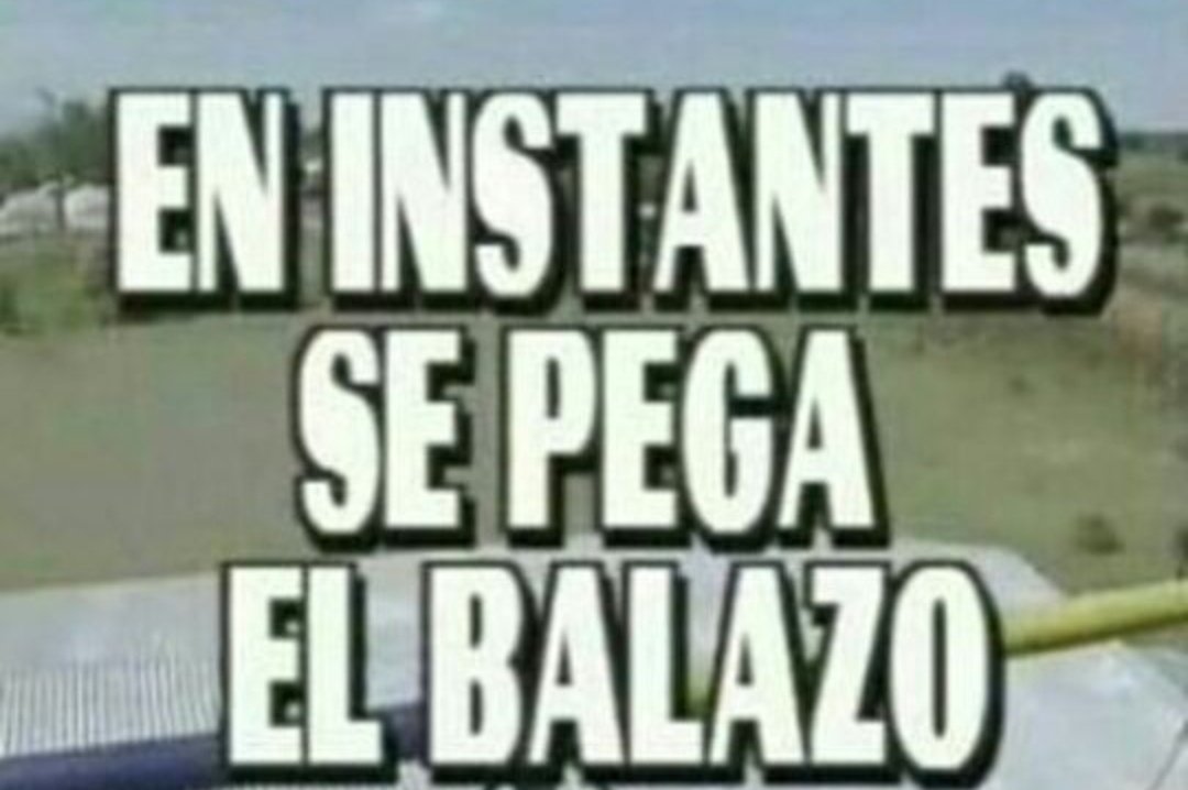 on-twitter-ya-arranque-el-d-a-como-el-orto-me-voy-a-matar