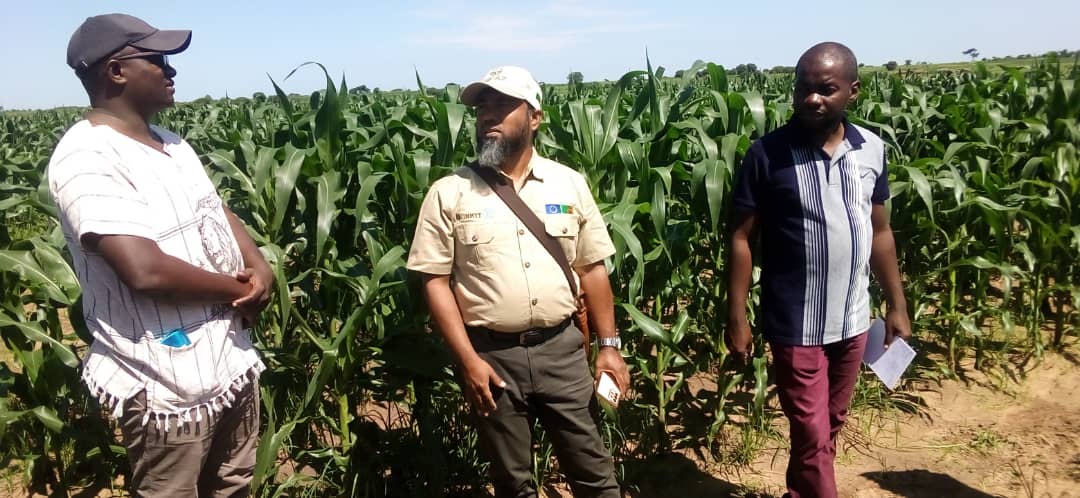 FAO Zambia tweet media