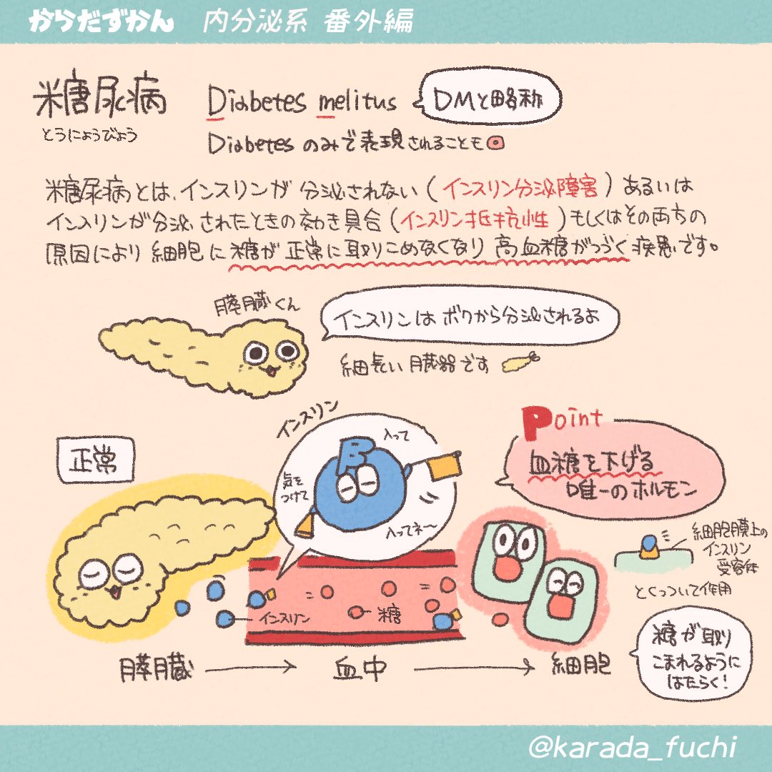 糖尿病って何？】 今後、名称が変更となることで話題になりました