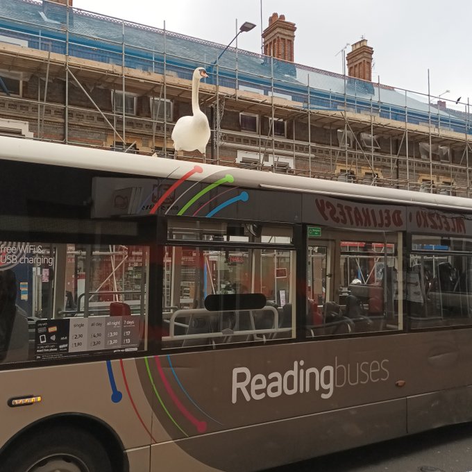 A swan sits on top of a bus