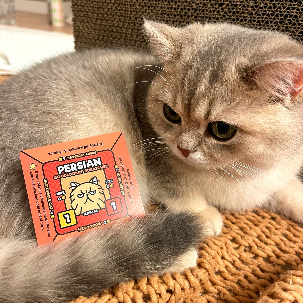 BeaverliciousTM's tweet image. Our CEO Bami has invited some candidates for job interviews again today...
Let´s see who she picks. 👀💦

#boardgameaddict #boardgameshots #brettspiele #brettspielliebe #brettspieler #beaverlicious #rotationrumble