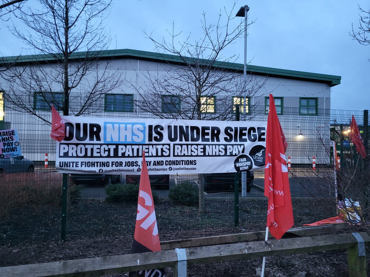 Stuart Davis tweet media