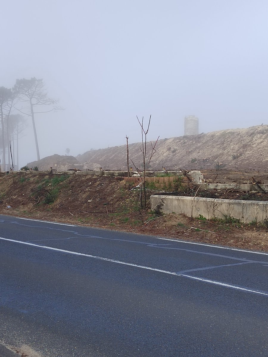 Un matin de février sur la route de l'océan, 7 mois après les incendies en Gironde