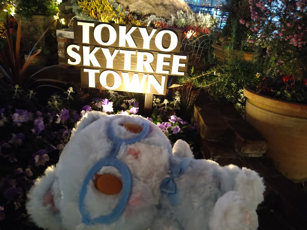 sk400c624s's tweet photo. Hello Kitty Japanに行ったらシナモンフレンズに紛れてお利口に座ってたふわふわすうちゃんを連れてきた(*^^*)
#ミュークルドリーミー #mewkledreamy #すうちゃん #hellokittyjapan #スカイツリー #skytree https://t.co/02m1smAN9c