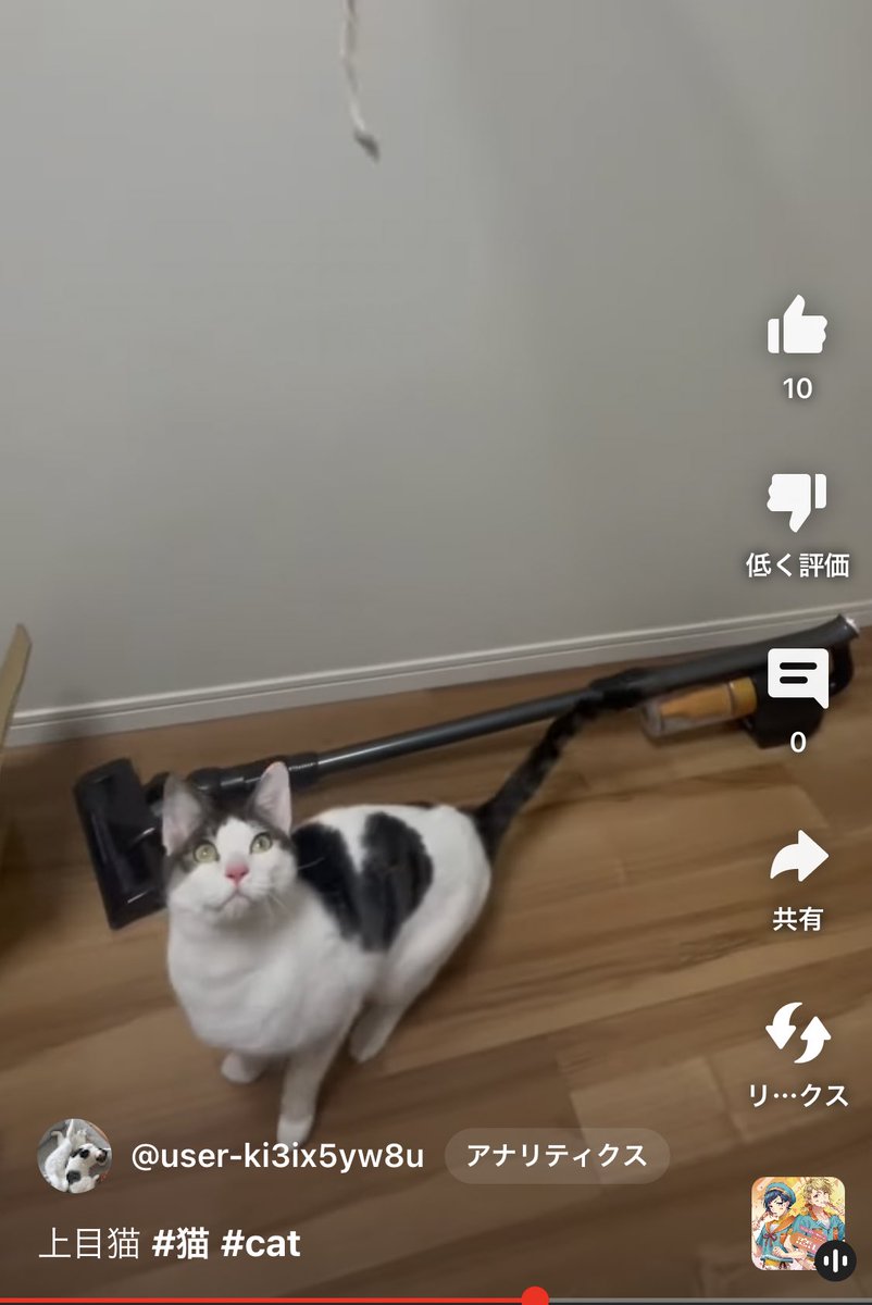 hota_mone1's tweet photo. https://t.co/SS3frmjlFg
YouTube登録増えないかなー🐈‍⬛ https://t.co/sAO2uwchjZ