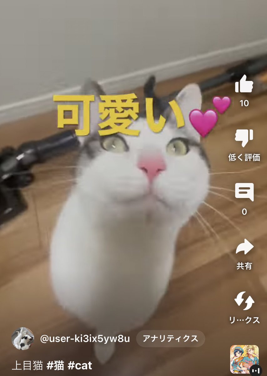 hota_mone1's tweet photo. https://t.co/SS3frmjlFg
YouTube登録増えないかなー🐈‍⬛ https://t.co/sAO2uwchjZ