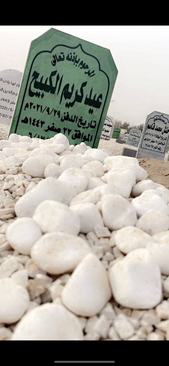 SALEH tweet media