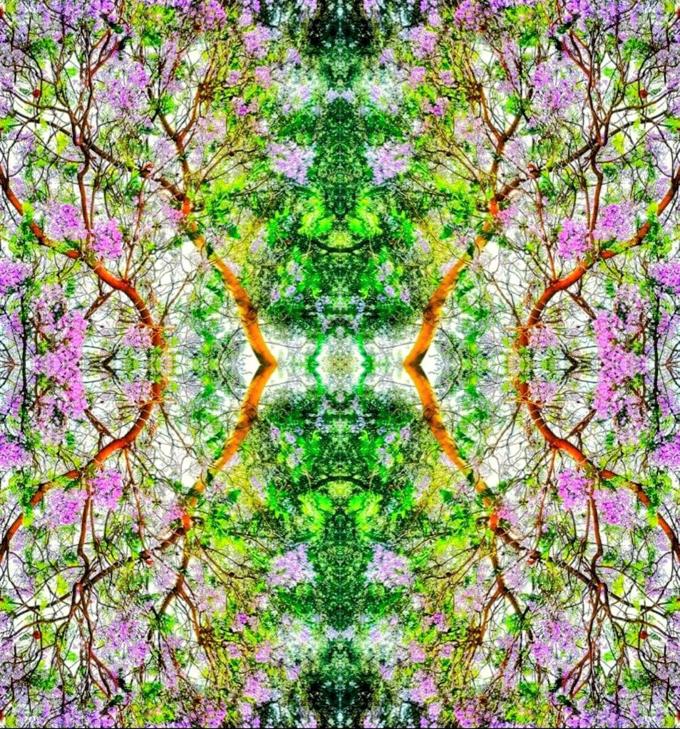 Surface Pattern photography I call it.
#redbubbleartist
#simplyart767redbubble 
#trees
#patternsinnature
#surfacepatterncommunity
#surfacepatternart