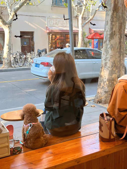 Failure is just one step closer to success; success is the last road left after passing the path of failure.