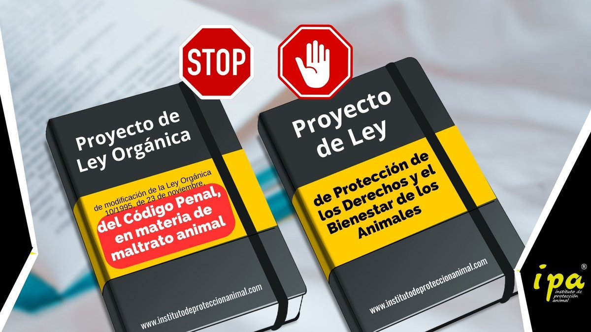 DeAnimals | Escuela de Formación en Derecho Animal tweet media