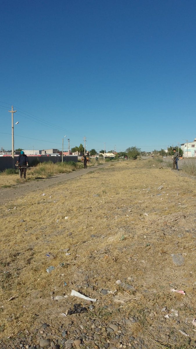 Corradi también se suma 💪

La cuadrilla de la Vecinal de B° Corradi trabajó durante la semana en la limpieza de:

✅ Calle Martín Rodríguez
✅ Calle Laura Vicuña 
✅ Calle Henry Jones
✅ Calle Daleoso
✅ Calle Rawson (en conjunto con Gestión Urbana)

#TenésTrelew #TenésLimpieza