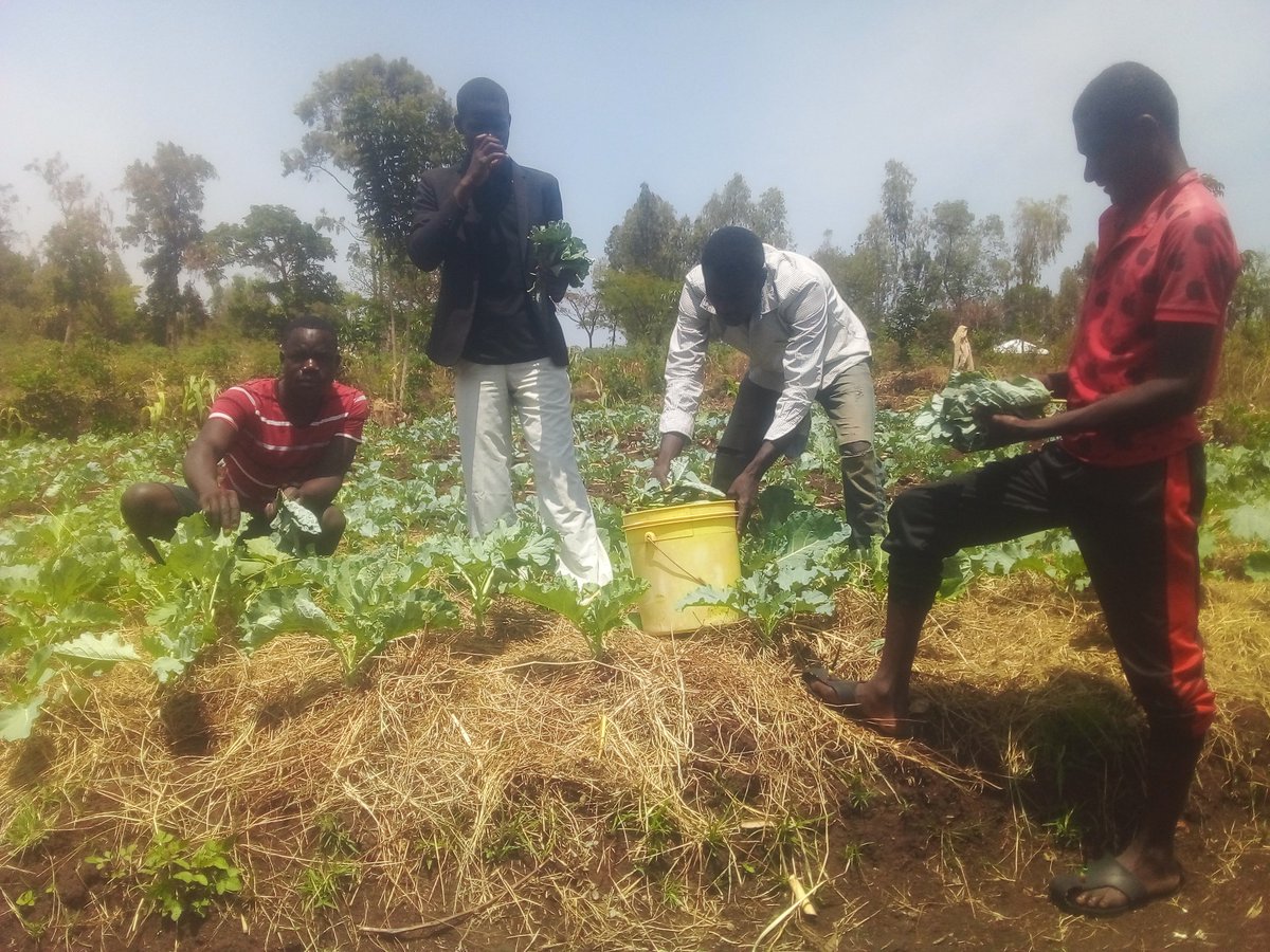 Giving back to the community