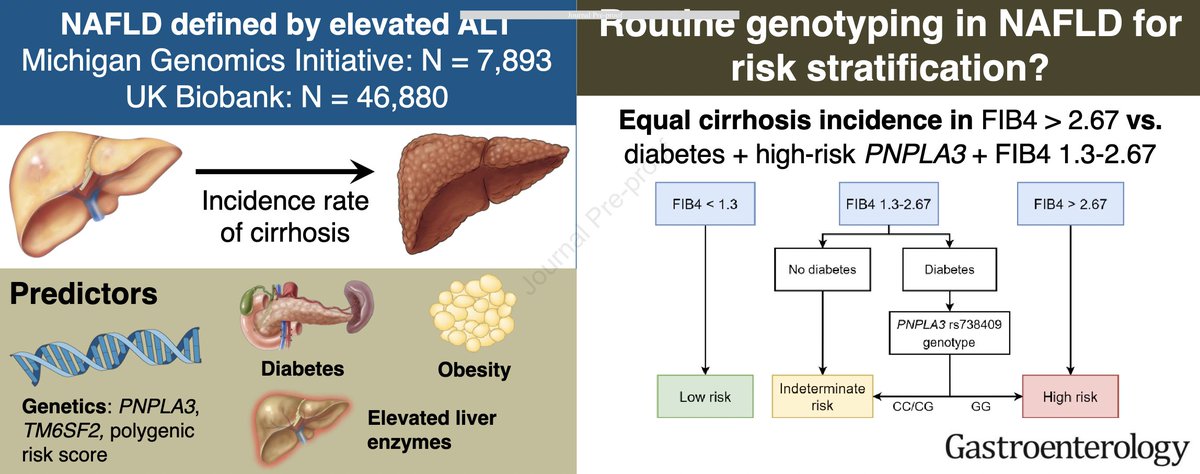New paper supporting that PNPLA3 genotyping is useful in risk stratification: 🔸NAFLD (this paper). 🔸ALD. 🔸Dual (NAFLD + ALD) disease. 🔸HCC risk. I think it should be included it in the assessment of chronic liver diseases. #livertwitter #medtwitter bit.ly/3YSyrKO