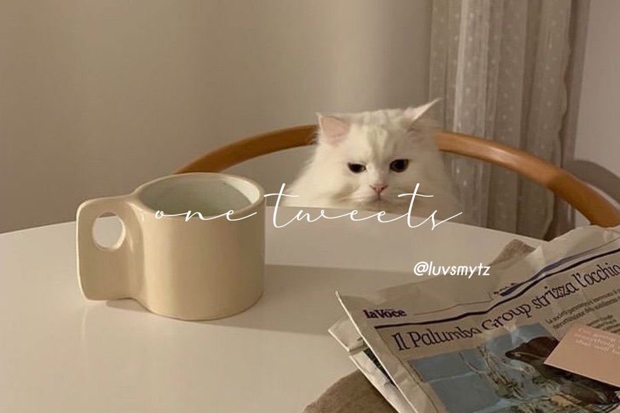 iky ✧˖° (@luvsmytz) on Twitter photo 