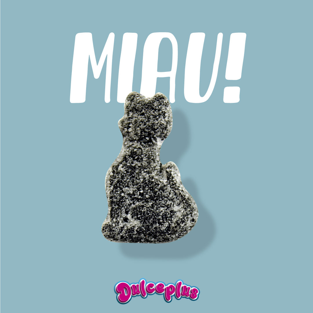 Dulceplus's tweet photo. Nuestros gatos regaliz azúcar, listos para celebrar el día de nuestros compañeros felinos🖤😺 ¡FELIZ DÍA INTERNACIONAL DEL GATO!

#dulceplus #sweet #candy #gummies #spanishgummies https://t.co/r94fuITrqw